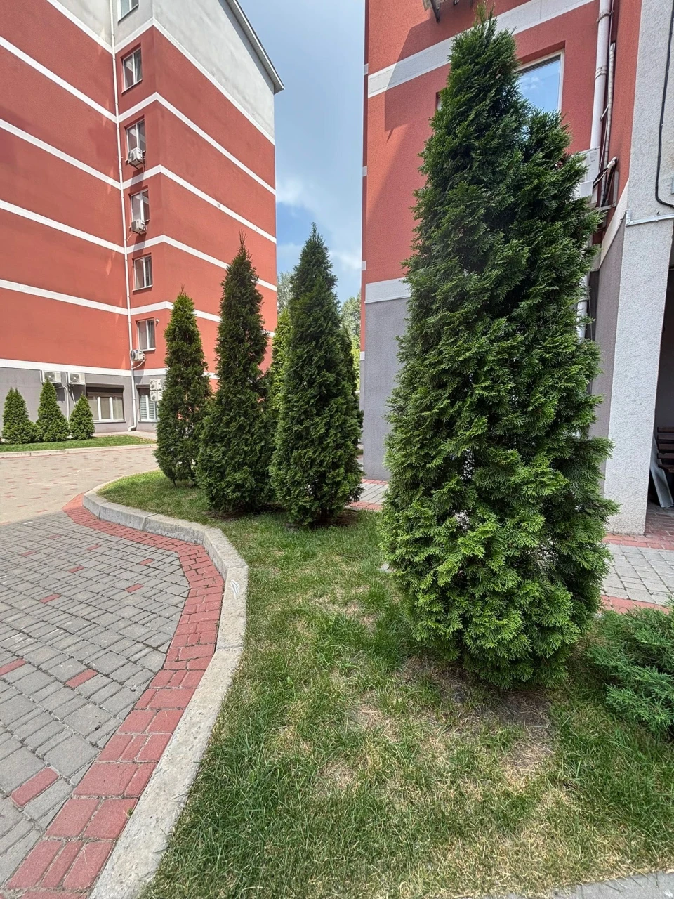 Продам 3-кімнатну квартиру в ЖК Олимпийский | Левобережний | 5-й поверх |
