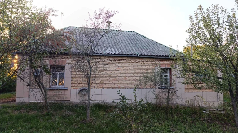Житловий будинок - 60 кв.м, Київська обл.,  Бориспільський р