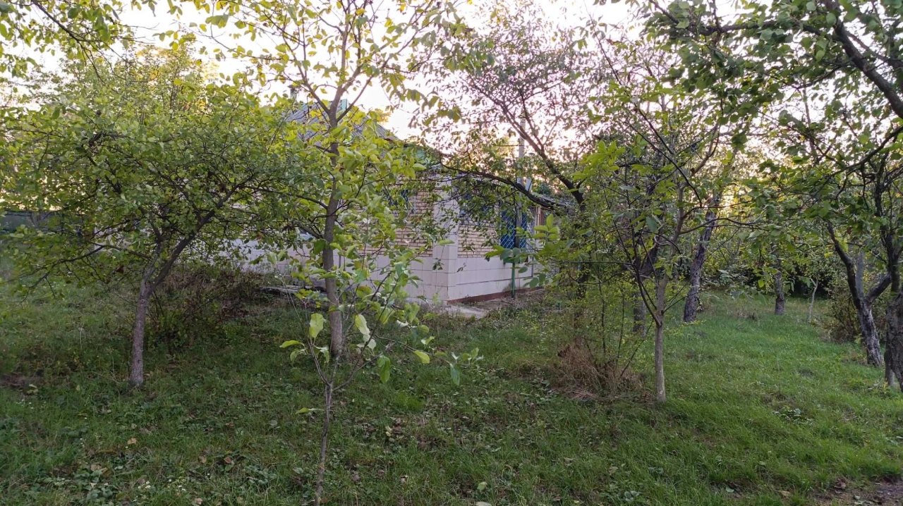 Житловий будинок - 60 кв.м, Київська обл.,  Бориспільський р