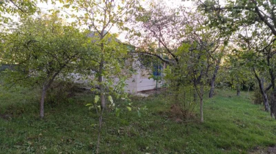 Житловий будинок - 60 кв.м, Київська обл.,  Бориспільський р