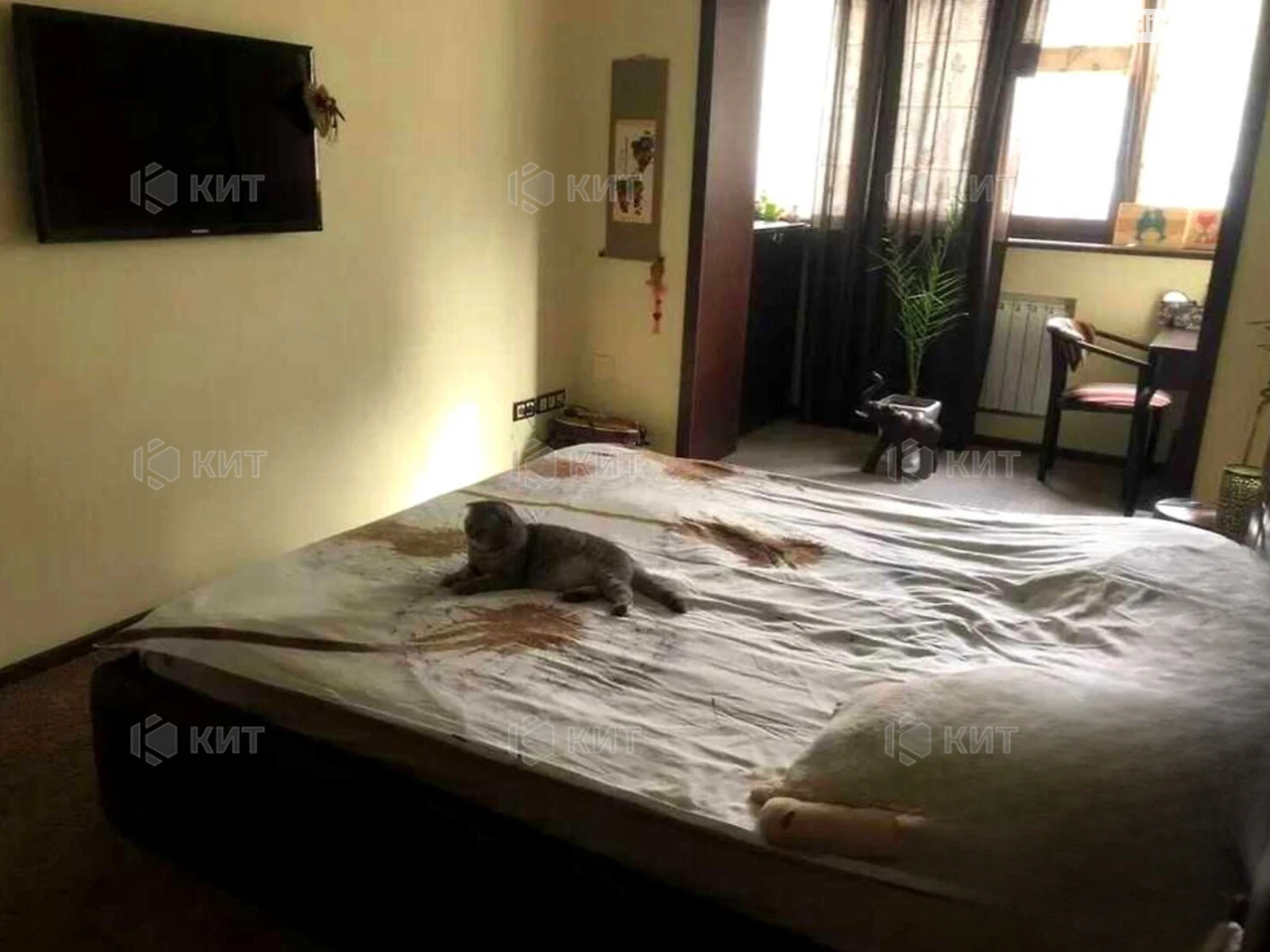 Sale Apartment Oleksiiivka