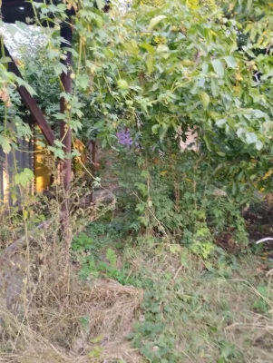 Продається мій будинок, Одеса, проспект Аерокосмічний (Гагаріна)