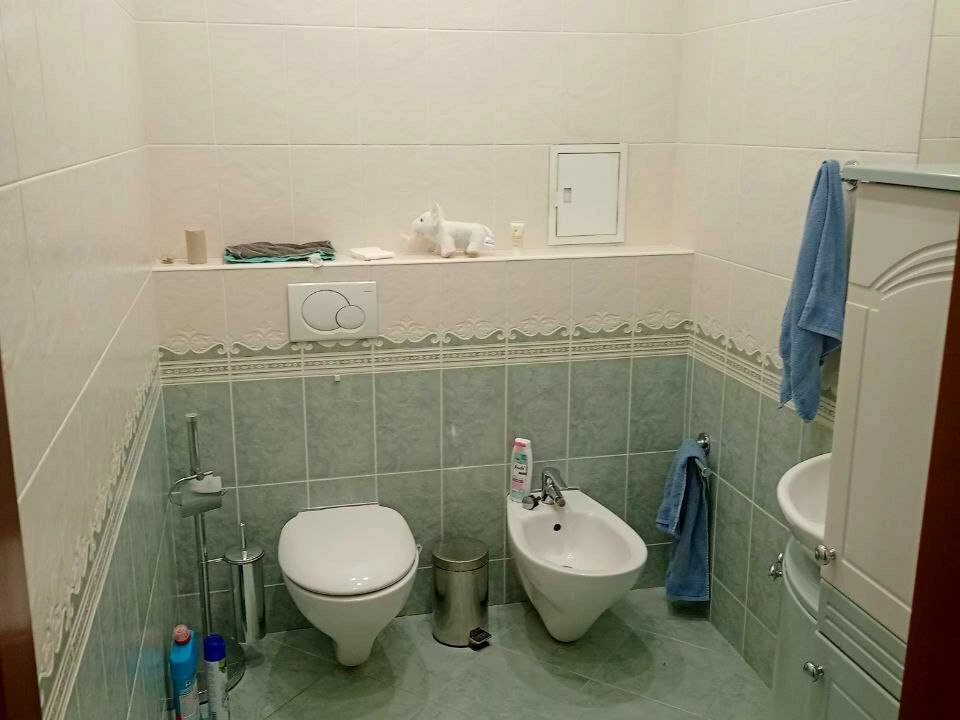 Apartment. Kyiv, Mokra Street.
