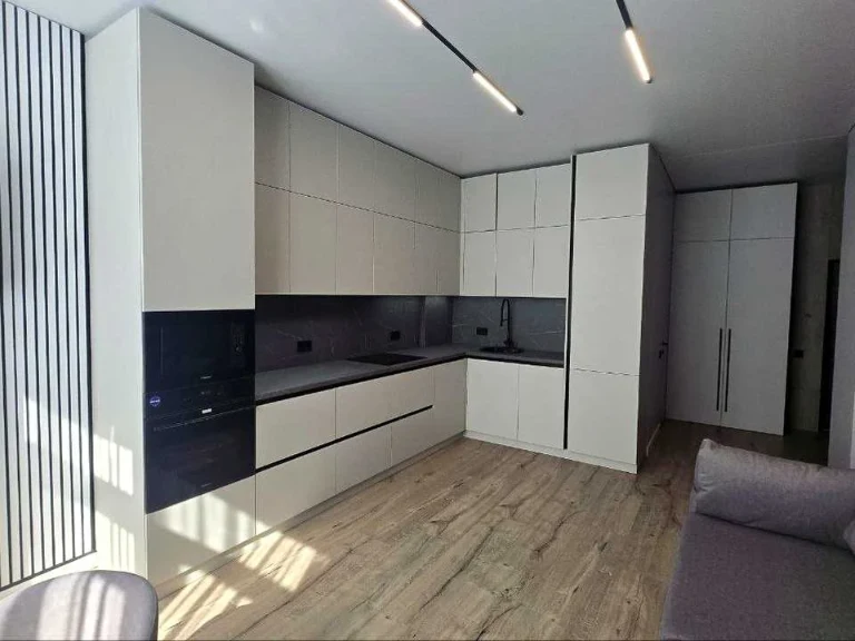 Apartment. Kyiv, Vyshorodska St.