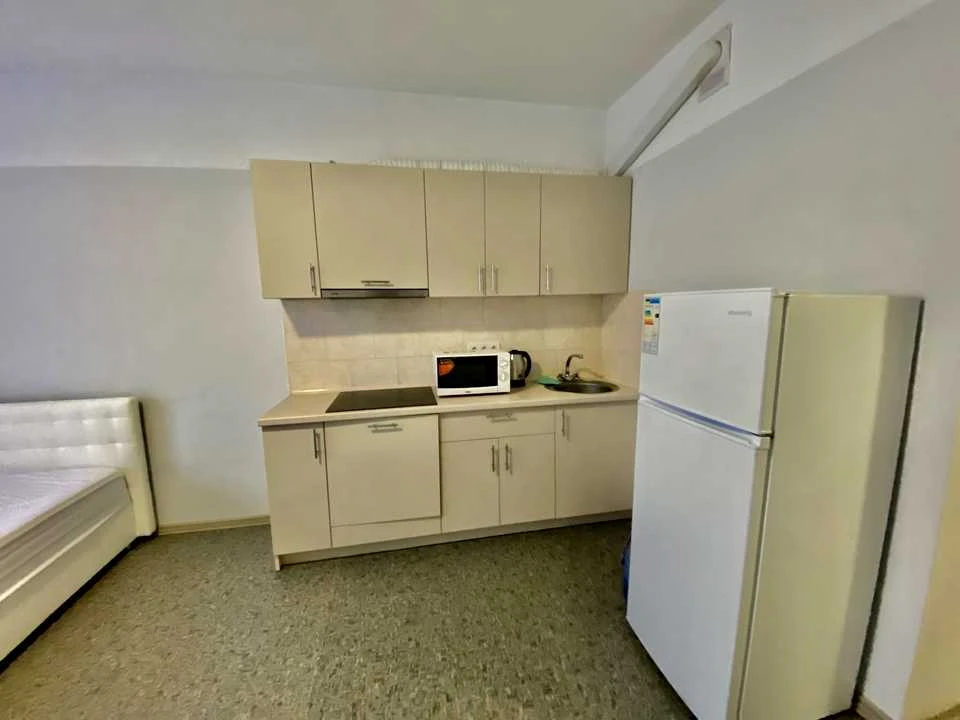 Apartment. Kyiv, Kam'yanska Street.