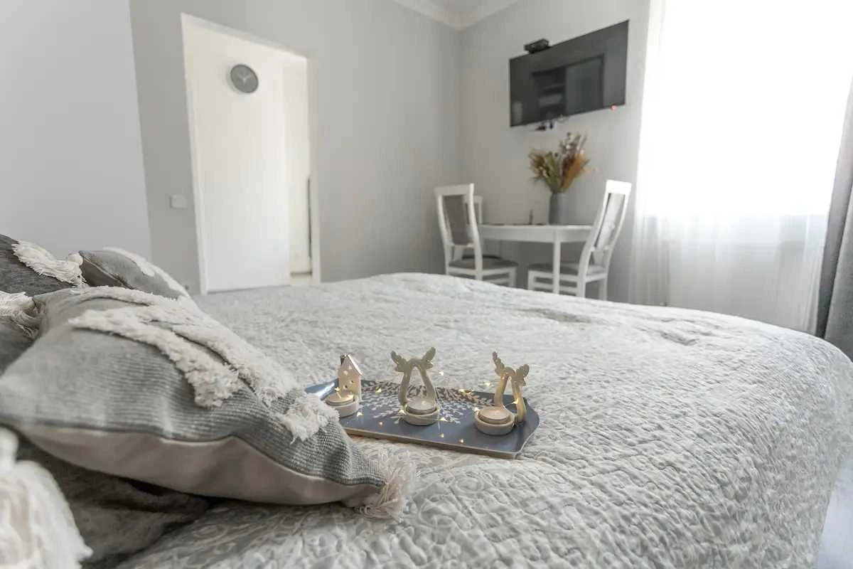 1-room apartment in the CENTER of Lviv_Opera Theater_OWNER