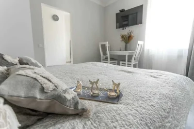 1-room apartment in the CENTER of Lviv_Opera Theater_OWNER