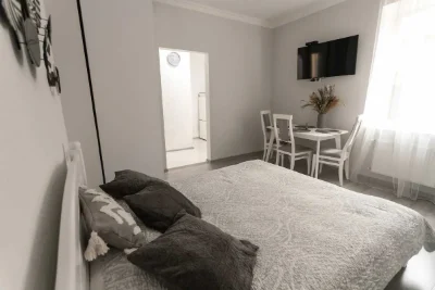 1-room apartment in the CENTER of Lviv_Opera Theater_OWNER