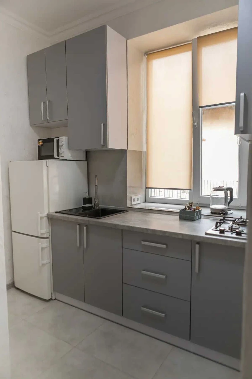 1-room apartment in the CENTER of Lviv_Opera Theater_OWNER