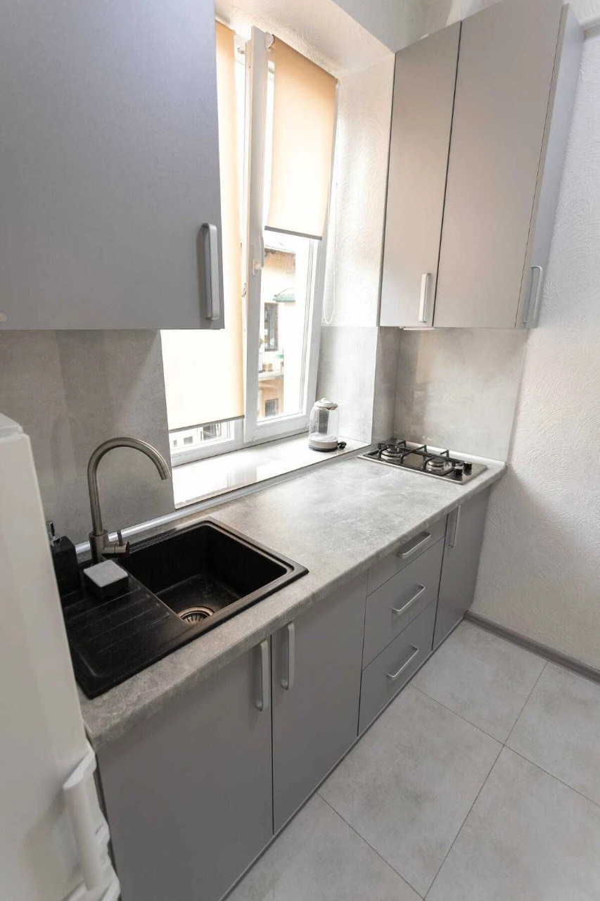 1-room apartment in the CENTER of Lviv_Opera Theater_OWNER