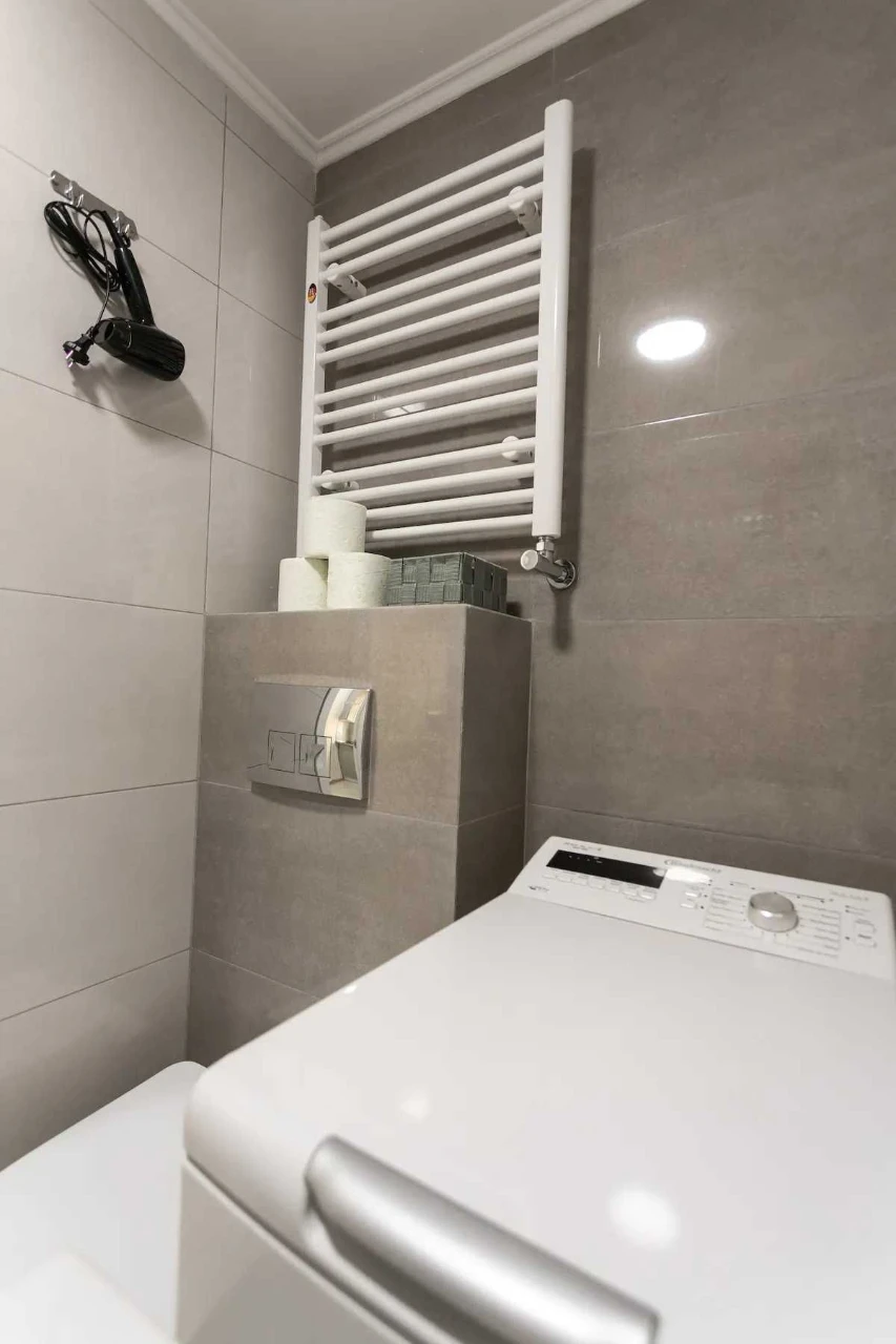 1-room apartment in the CENTER of Lviv_Opera Theater_OWNER