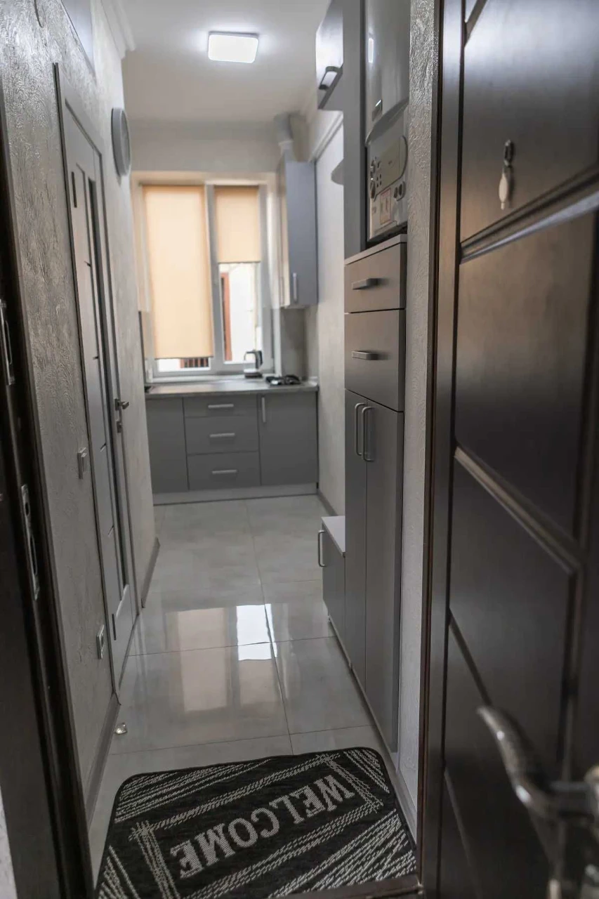 1-room apartment in the CENTER of Lviv_Opera Theater_OWNER