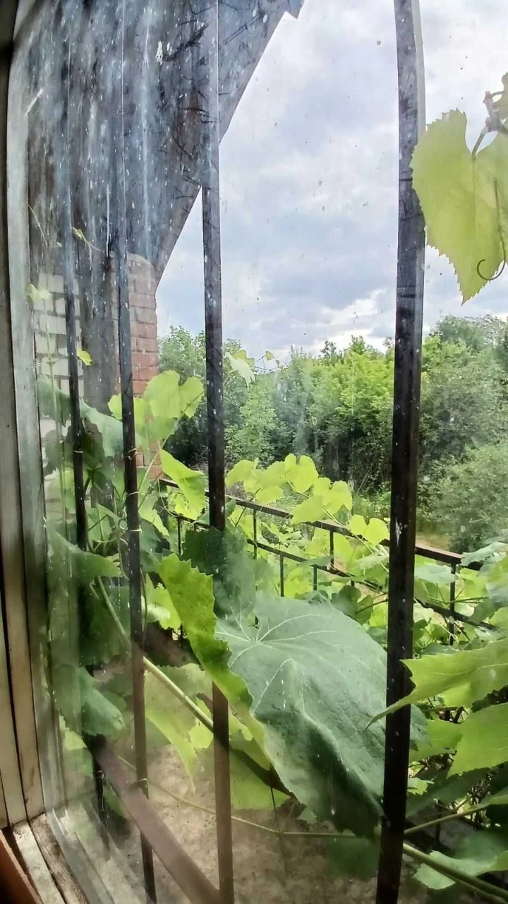For sale plot in Vorontsin