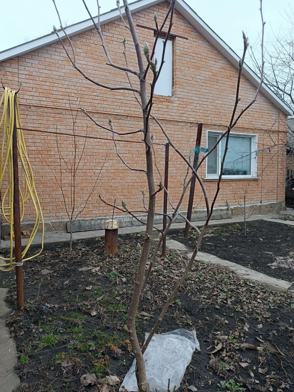 For sale house in the area of N.Balashivka