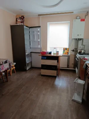 For sale house in the area of N.Balashivka