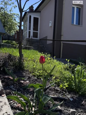 Продажа Дом Пятничане