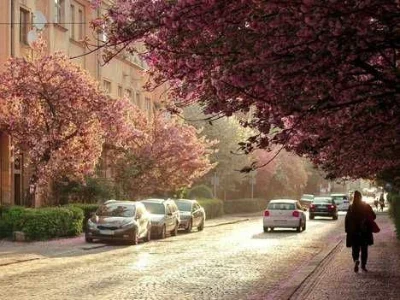 Рідкісний об'єкт у центрі Ужгорода | вул. Довженка | Вид на