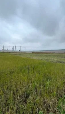 Фасадна земельна ділянка. Чудова локація на Проспекті миру.