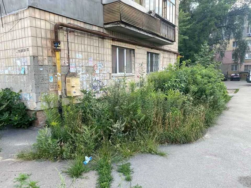 Apartment. Poltava, Hryshevskyi Street.