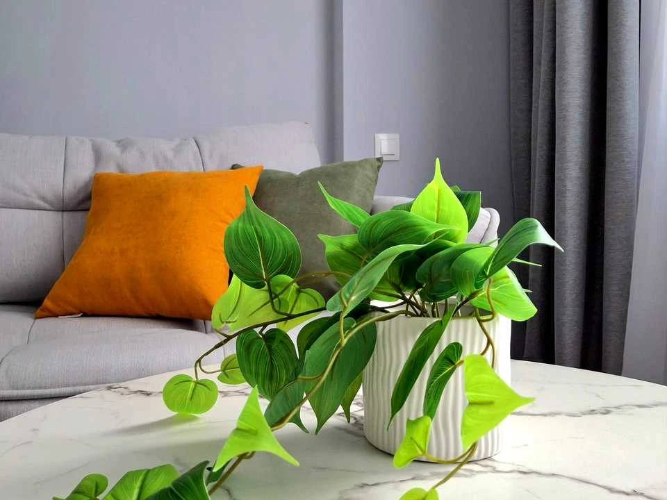 Apartment. Kyiv, Truskavetska St.