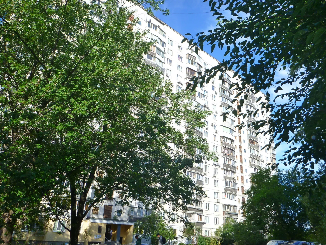 Продажа 2-комнатной квартиры 44 м², Пантелеймона Кулиша ул.,