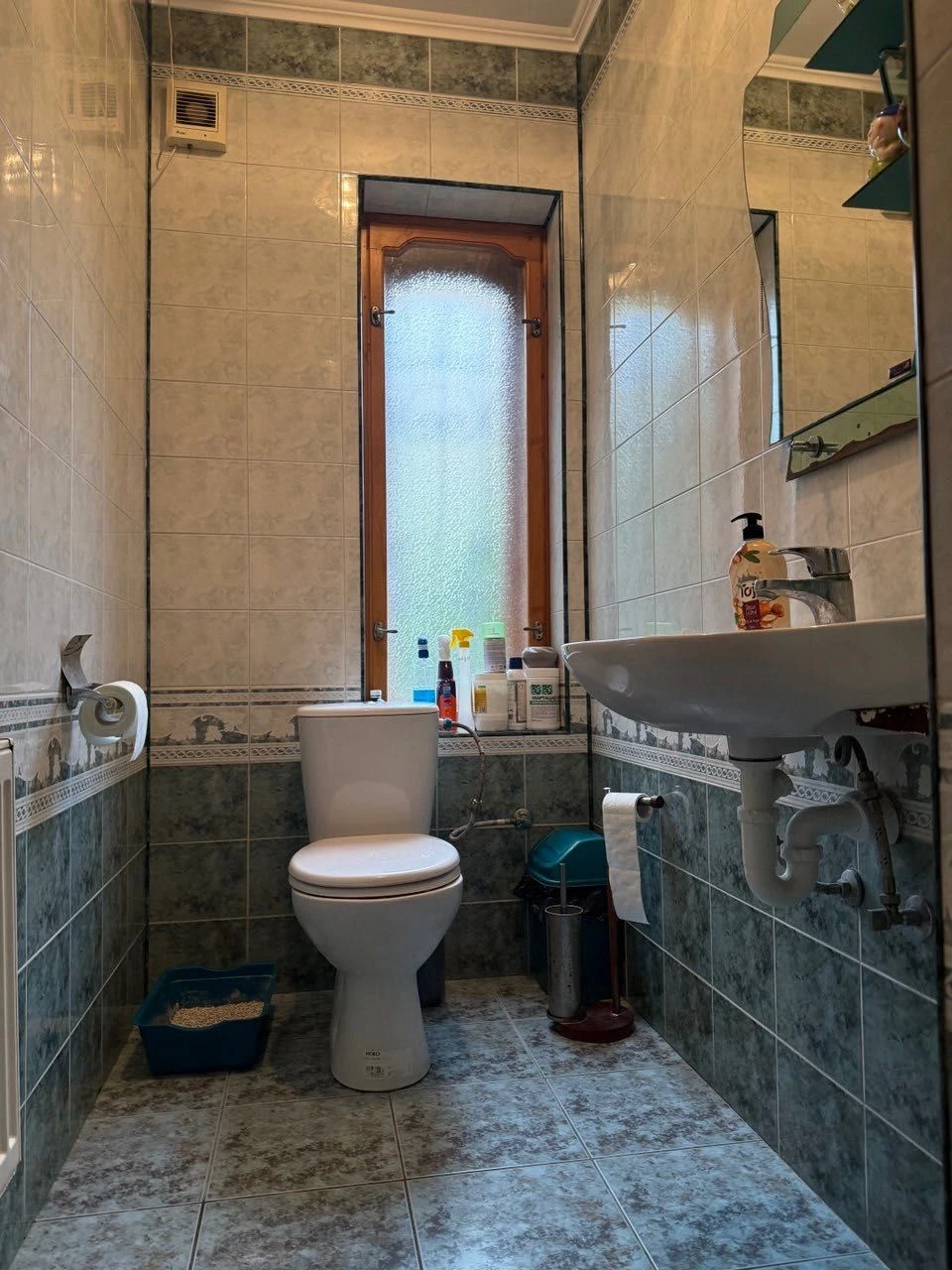 5 кімнат, 160 м²: просторий будинок для великої родини, Черн