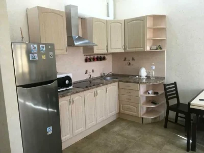 Apartment. Odessa, Davida Burlyka St.