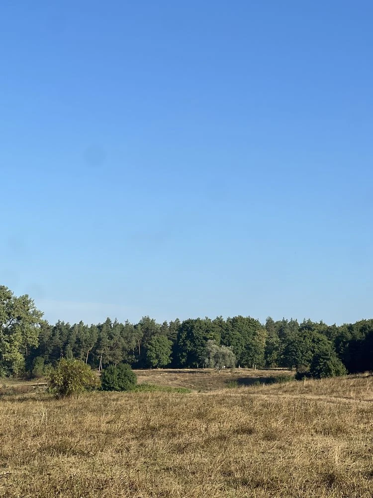 Продам Ділянку 8 сотих на березі річки, масив Verdara