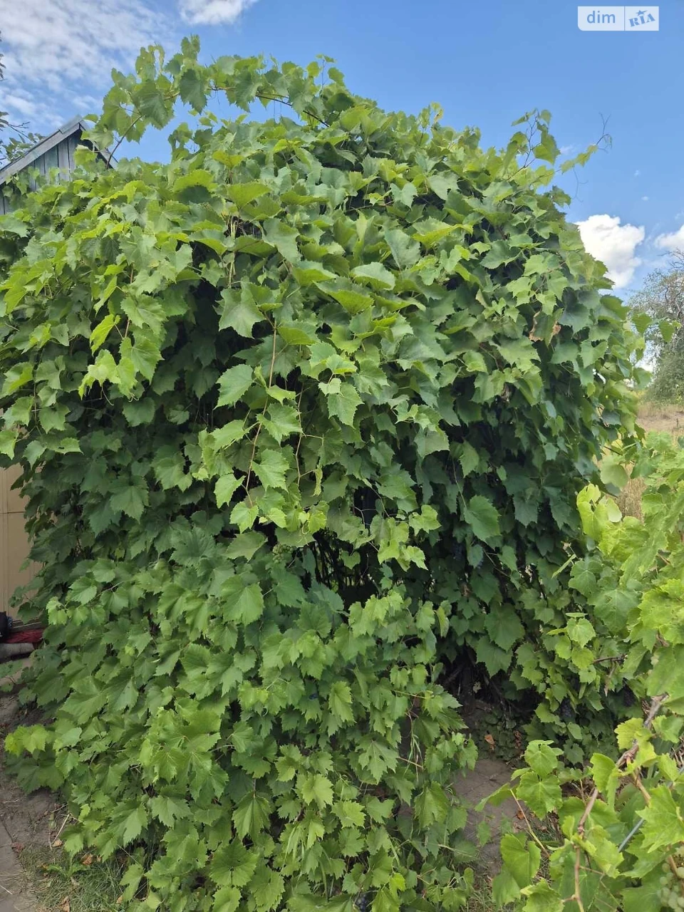 Продаж Ділянка під житлову забудову