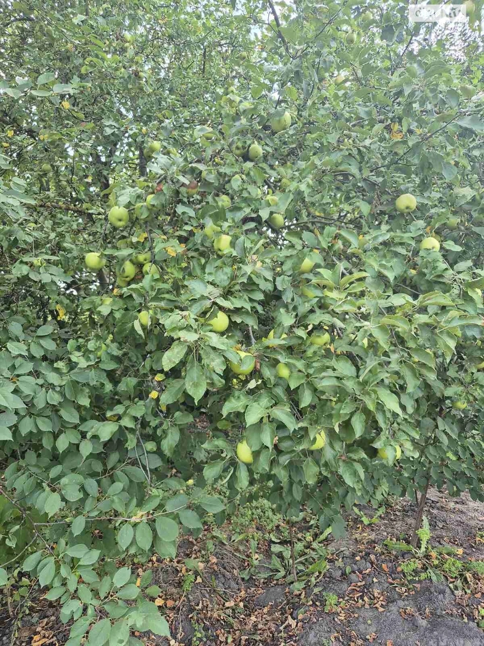 Продаж Ділянка під житлову забудову