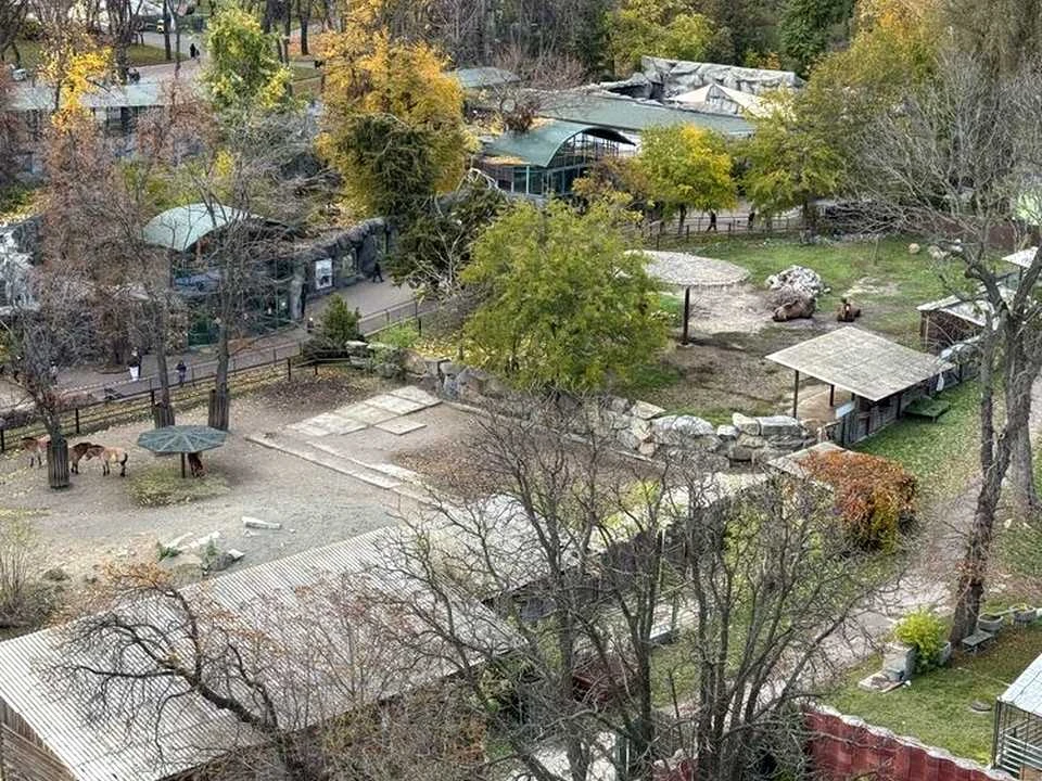 Квартира. Киев, Тбилиский проезд.
