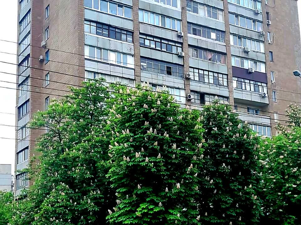 Apartment. Petro Grigorenka Avenue, Kharkiv