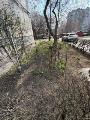 Терміновий продаж 1 кімнатної квартири