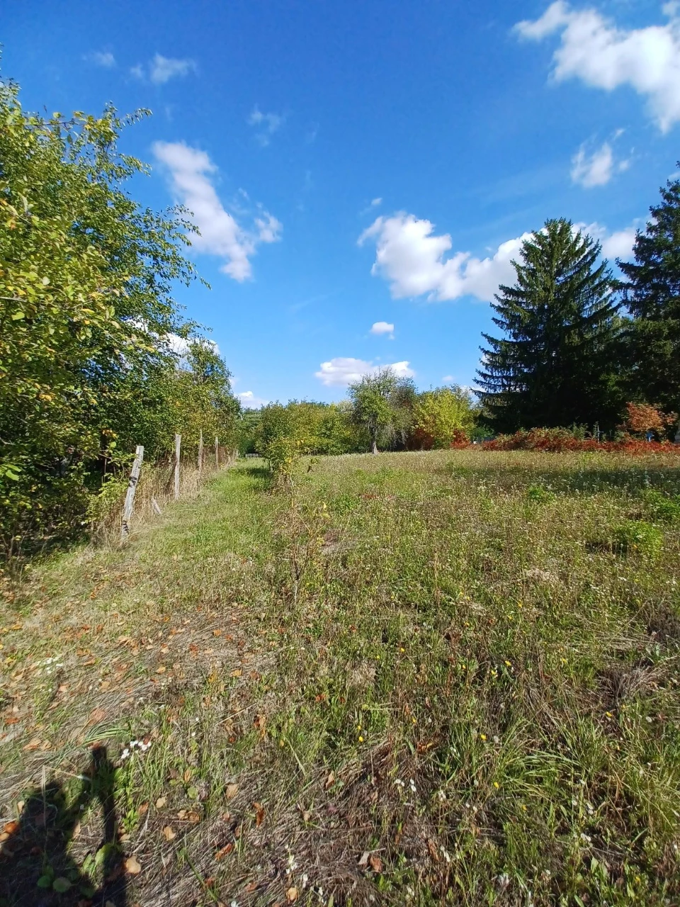 For Sale: Privately Owned Land Plot in Village of Lani, Vinnytsia