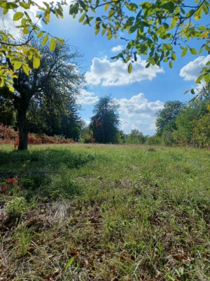 For Sale: Privately Owned Land Plot in Village of Lani, Vinnytsia
