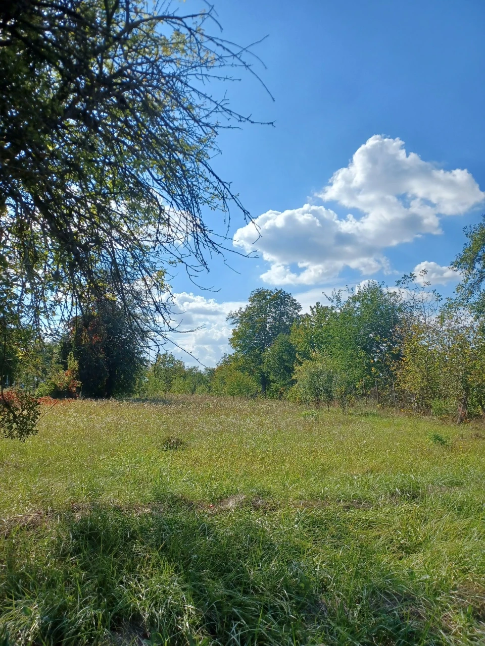 For Sale: Privately Owned Land Plot in Village of Lani, Vinnytsia