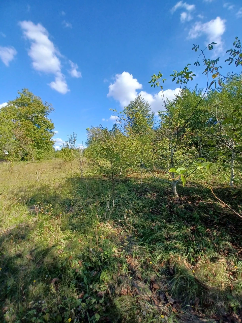 For Sale: Privately Owned Land Plot in Village of Lani, Vinnytsia
