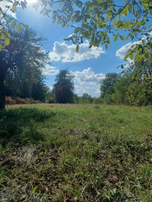 For Sale: Privately Owned Land Plot in Village of Lani, Vinnytsia