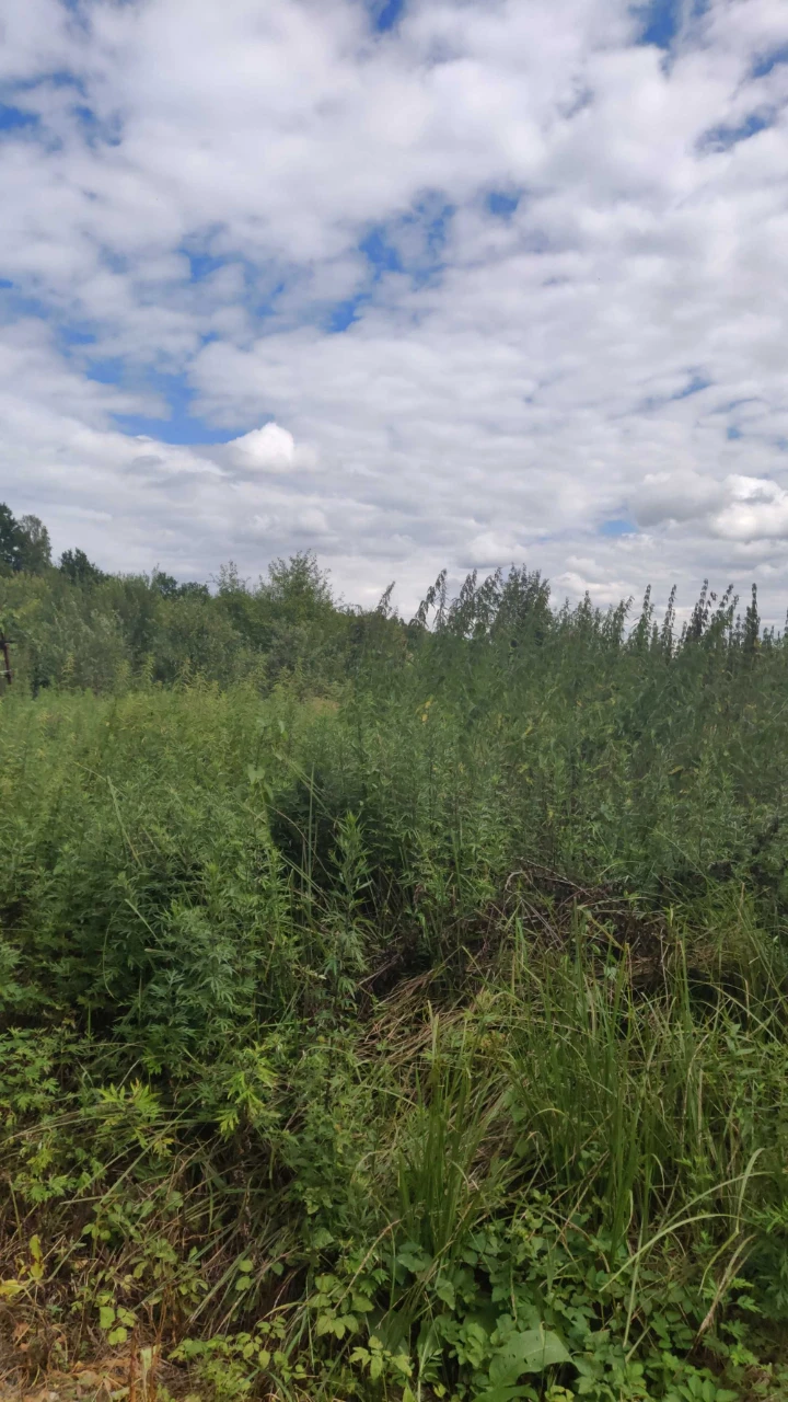 Land 6 acres Ivano-Frankivsk, forest, fish lakes, 20 minutes to Fr