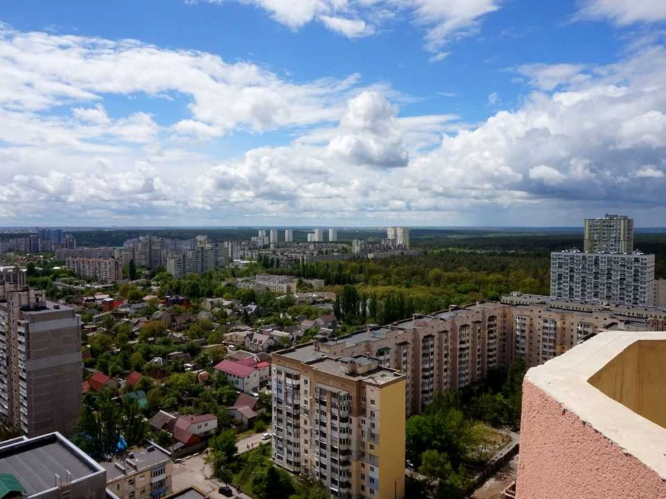 Apartment. Olevska Street, Kyiv