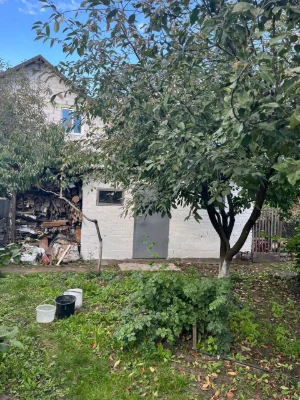 For Sale: House in Desniansky District