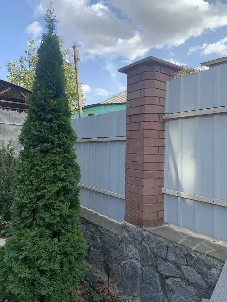 House for Sale in Poltava with Ready Space for Living and Business
