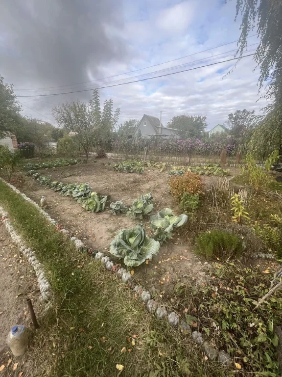 For Sale: Co-op Cottage "Ozer"