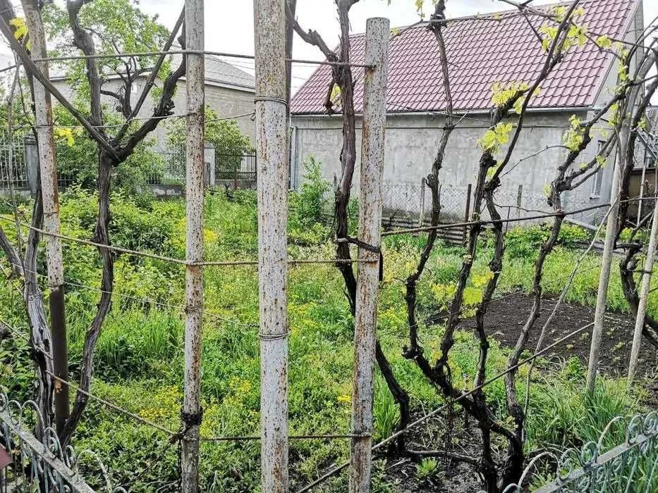 (13) Продам капітальний будинок на Ленселищі (Хаджибейський