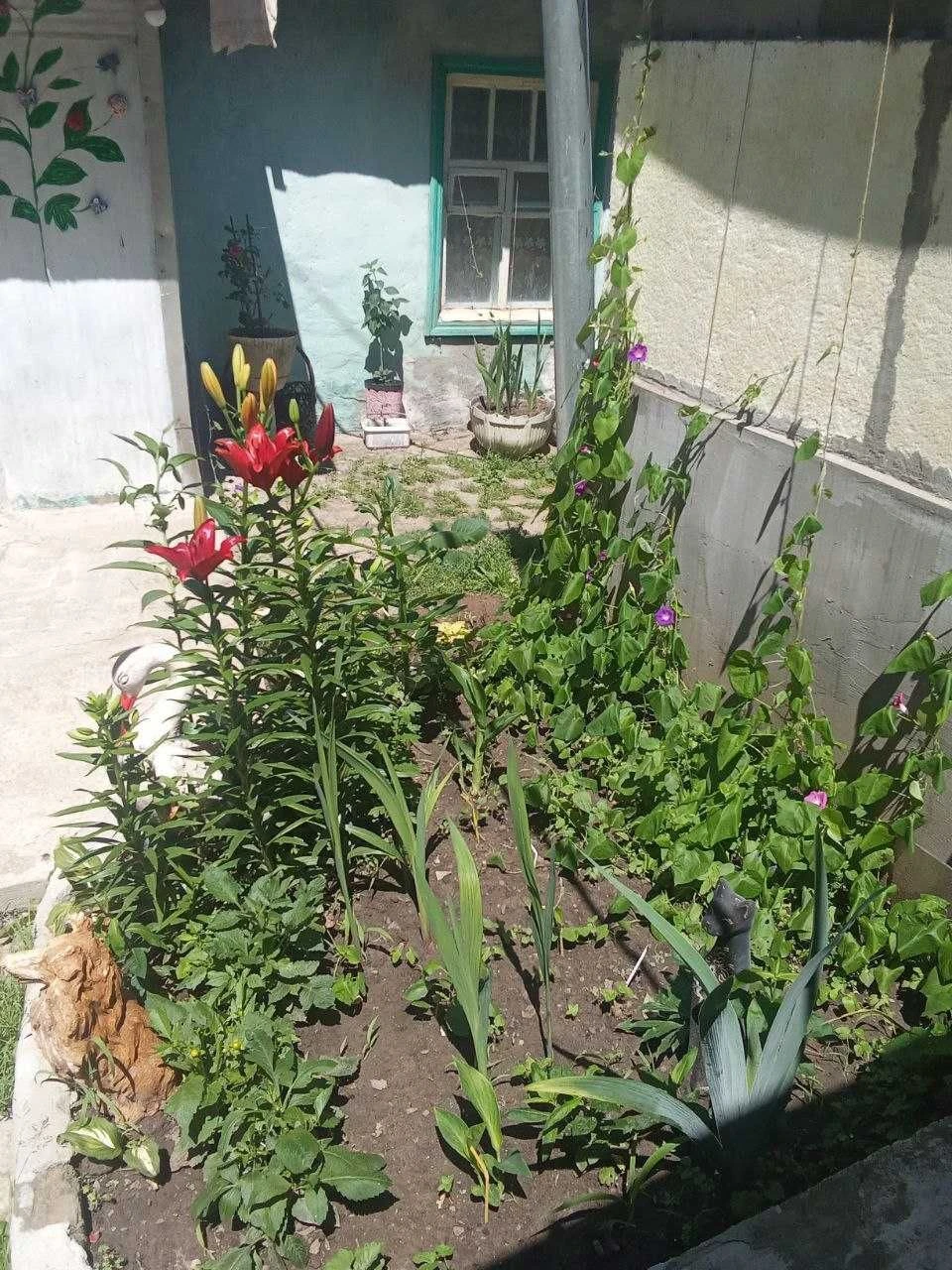 Продам будинок зі всіма зручностями в Харкові