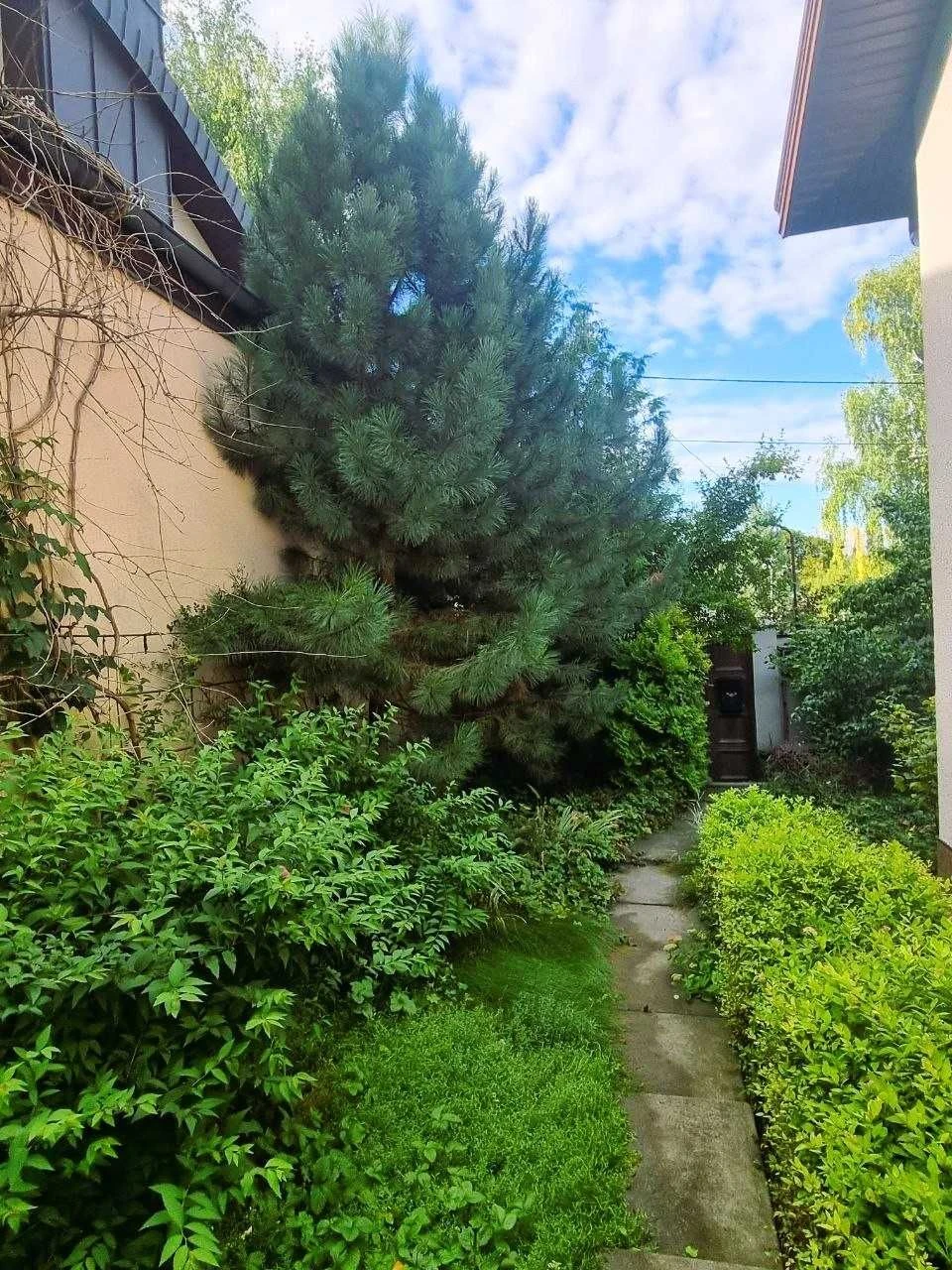 House for Sale: 8 Acres in Shatilovka, Pavlov Field, Botanical Garden