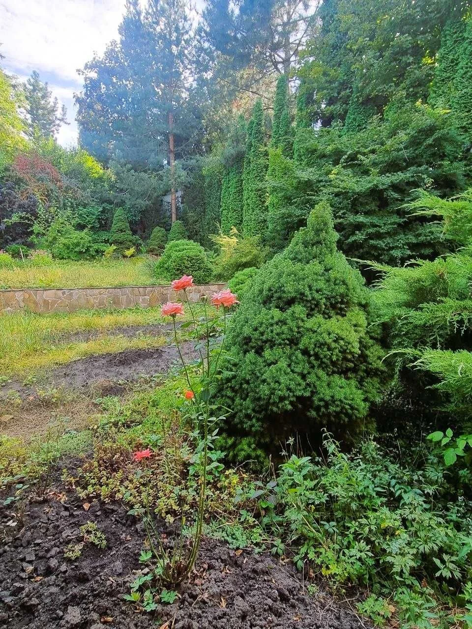 House for Sale: 8 Acres in Shatilovka, Pavlov Field, Botanical Garden