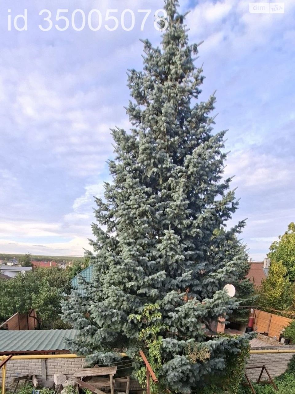 Apartment for Sale in Zalutynne
