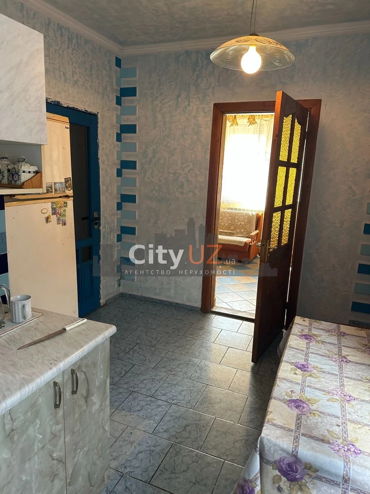 House for sale with business in Uzhhorod