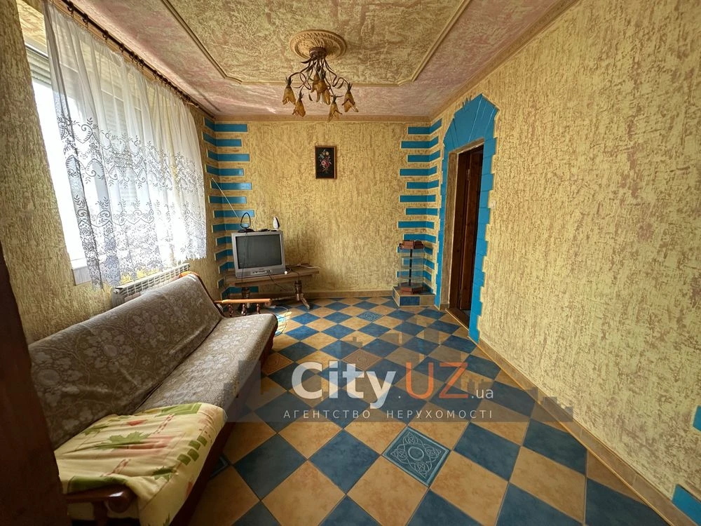 House for sale with business in Uzhhorod